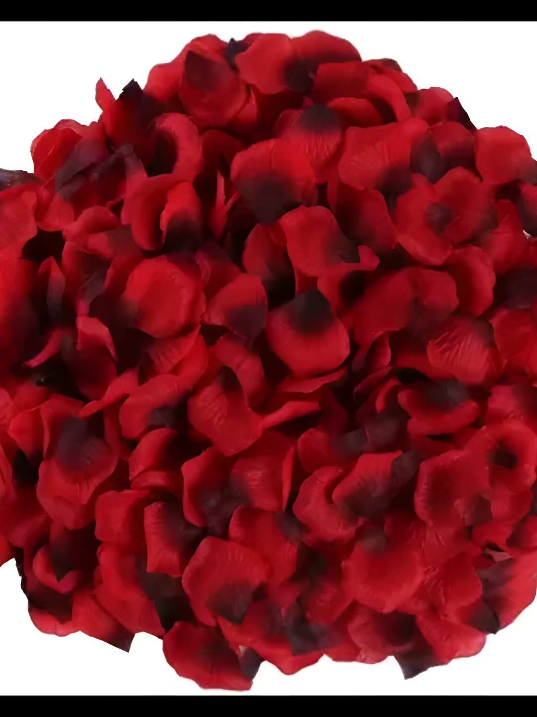 

Satyam Kraft Red 500 Pieces Rose Artificial Flower