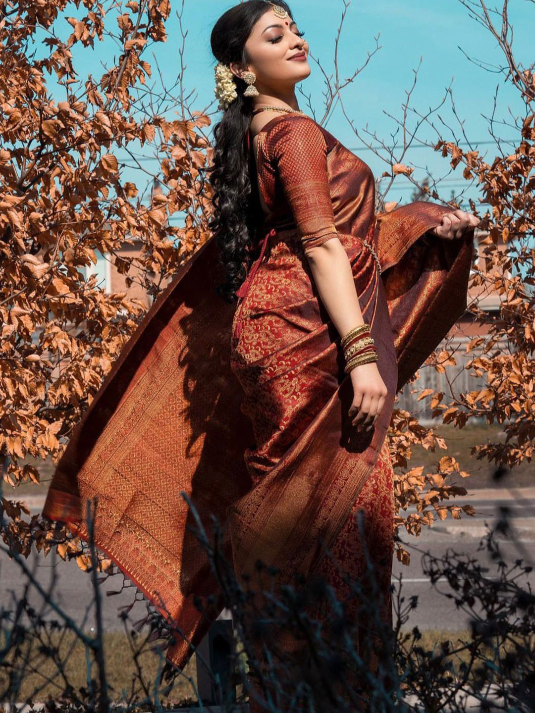 

Naishu Trendz Woven Design Zari Pure Silk Kanjeevaram Saree, Maroon