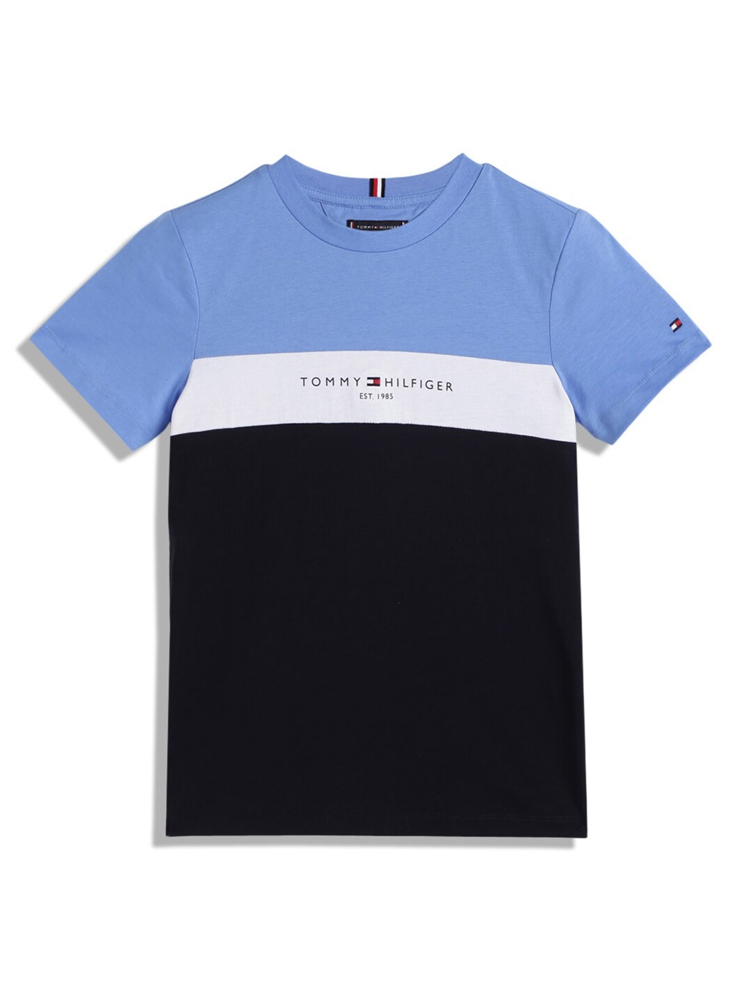 

Tommy Hilfiger Boys Colourblocked Cotton Round Neck Applique T-shirt, Blue