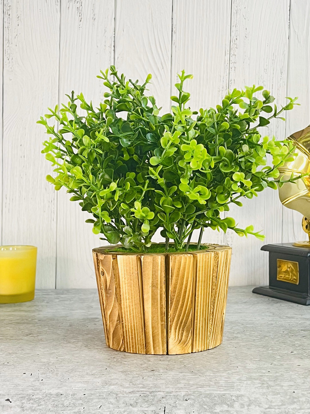 

Akaar Green Artificial Bonsai Plant With Wooden Pot