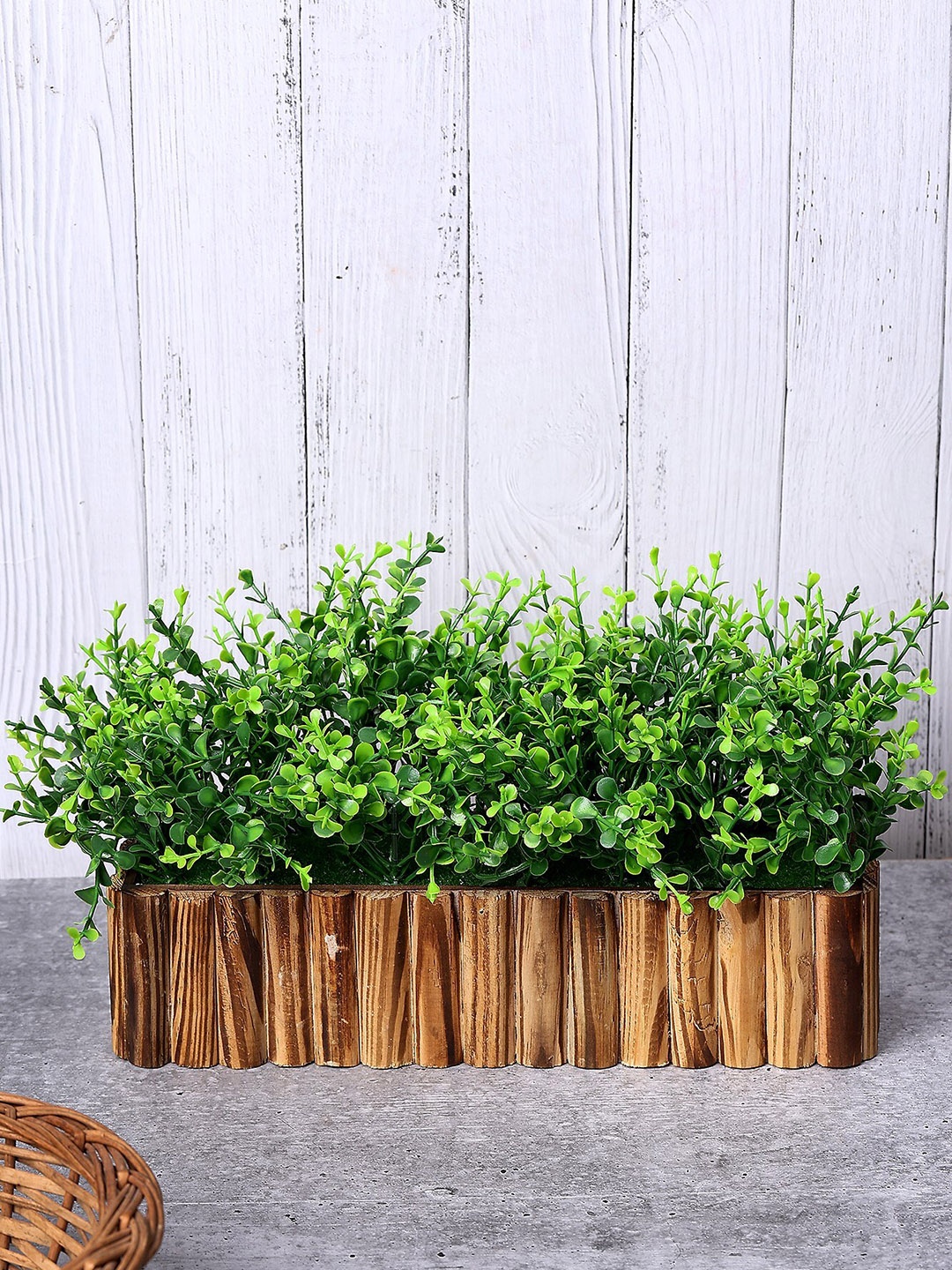 

Akaar Green Artificial Bonsai Plant