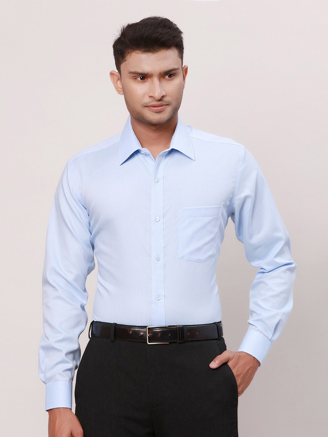 

Park Avenue Men Micro Checks Opaque Checked Formal Shirt, Blue