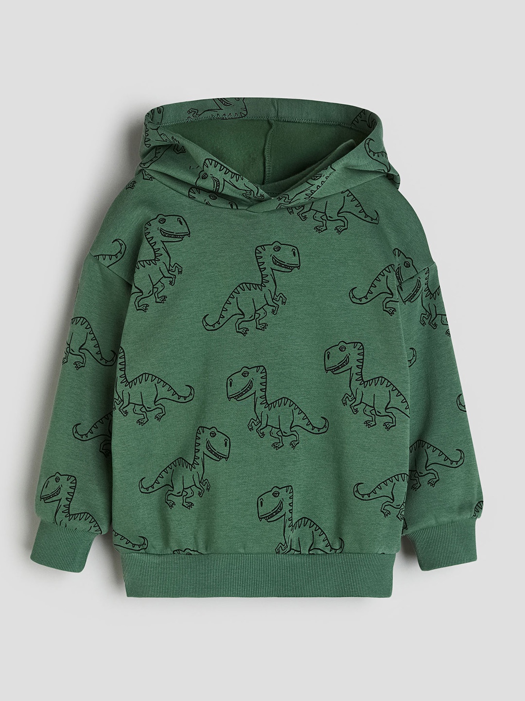 

H&M Boys Printed Hoodie, Green