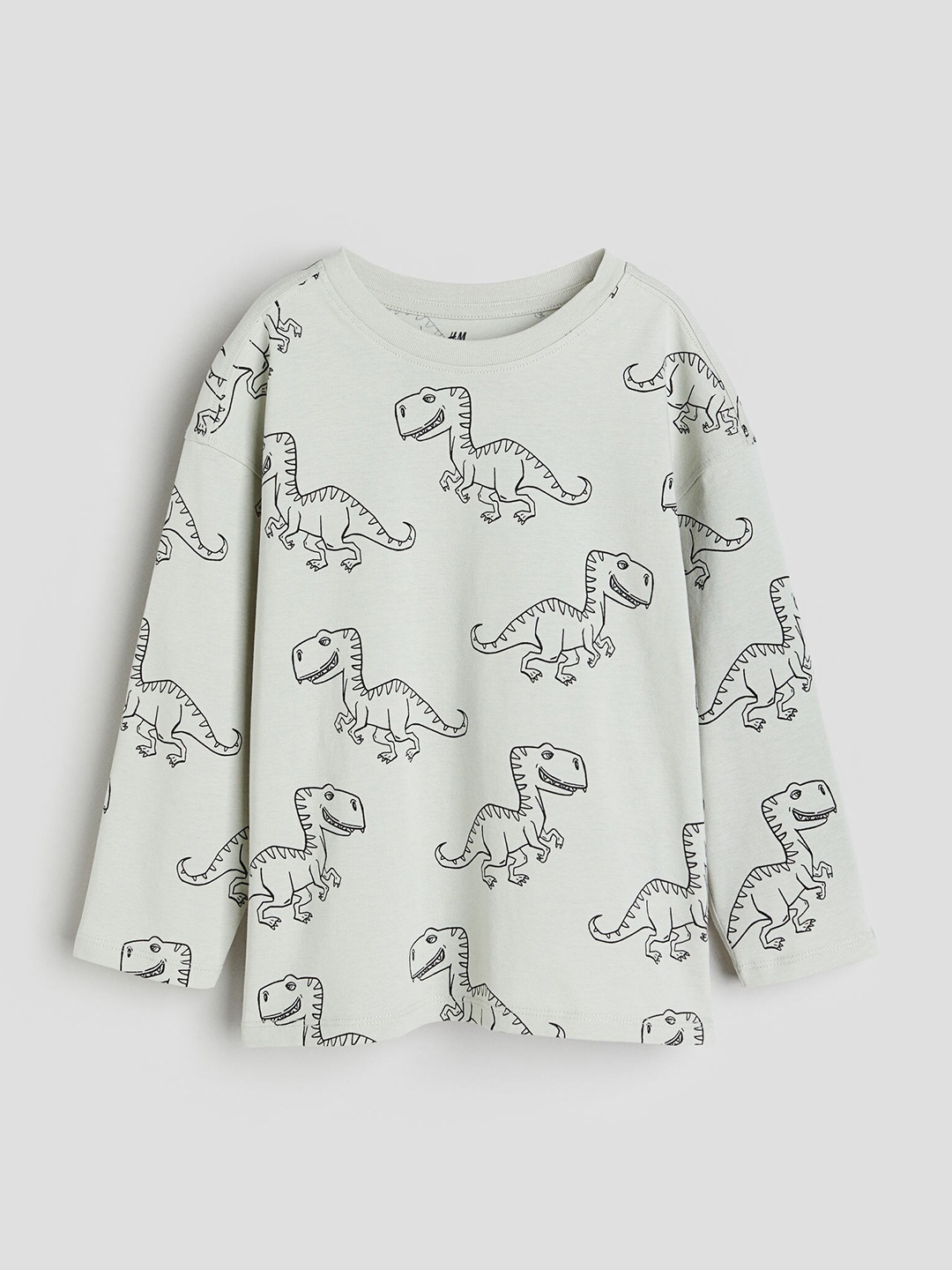 

H&M Boys Cotton Long-Sleeved T-shirt, Green