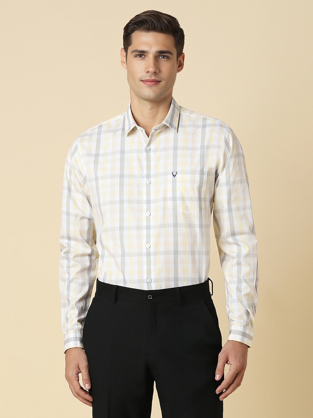 

Allen Solly Men Slim Fit Opaque Checked Formal Shirt, Multi