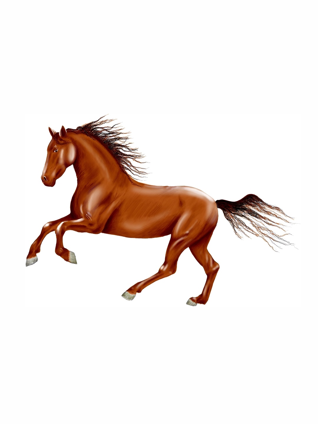 

Aquire Flipkart SmartBuy Brown Horse Printed Self-Adhesive Wall Sticker
