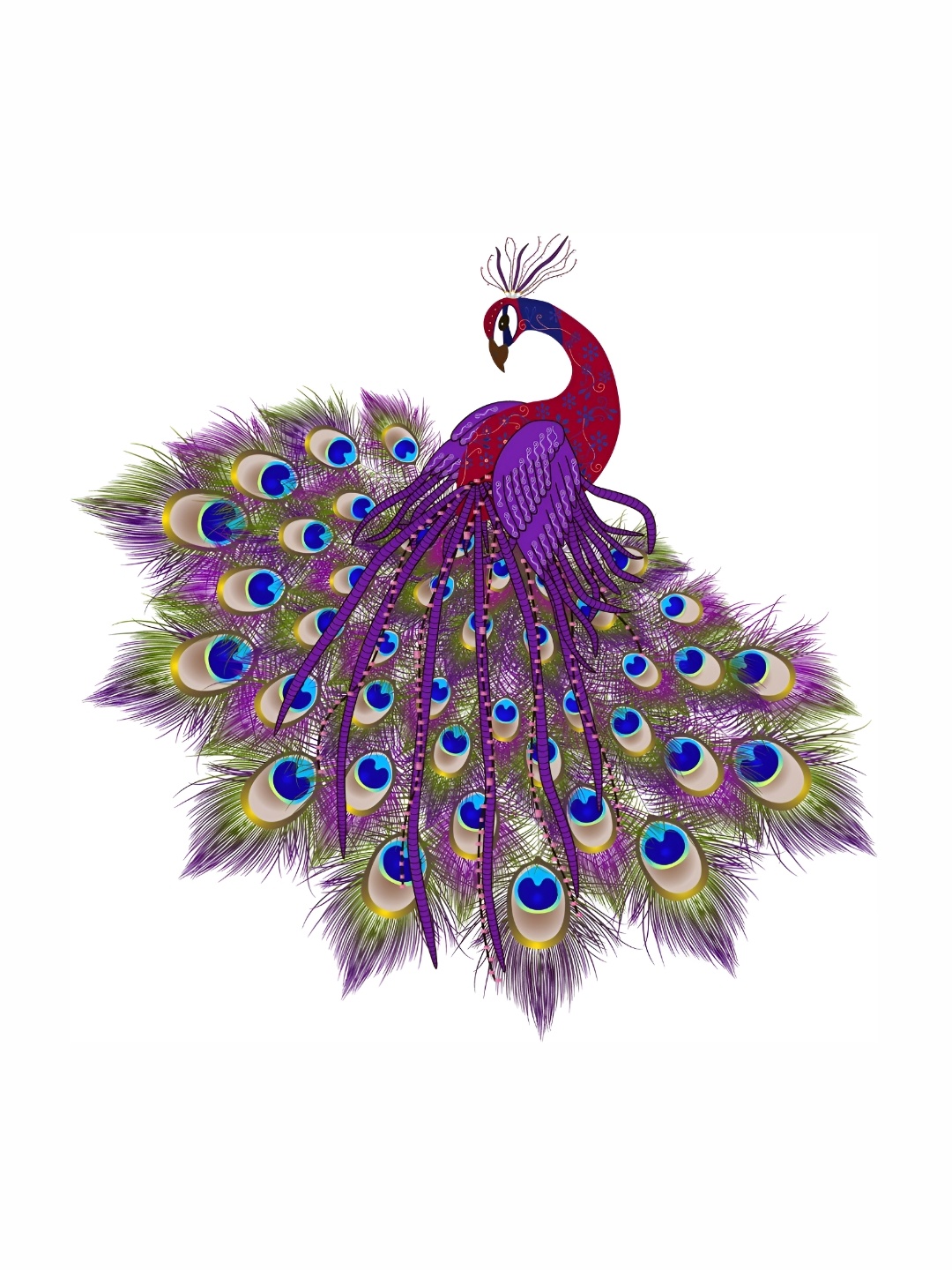

Aquire Purple & Maroon Peacock Printed Self-Adhesive Wall Sticker