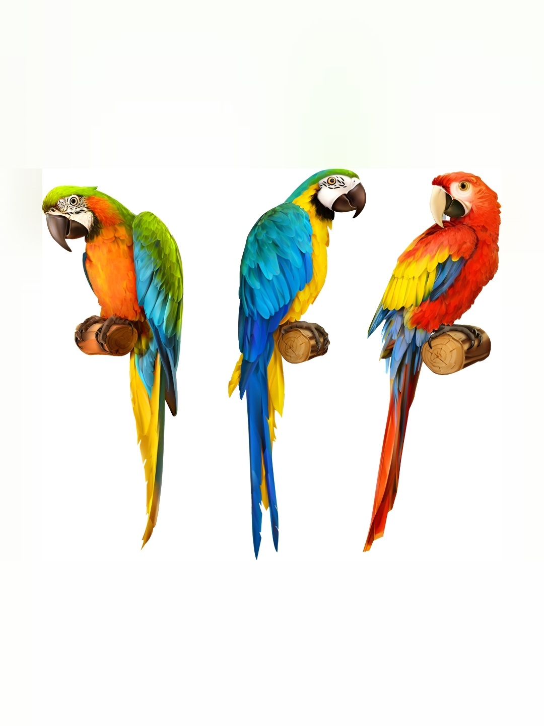 

Aquire Red & Blue Birds Durable Wall Stickers