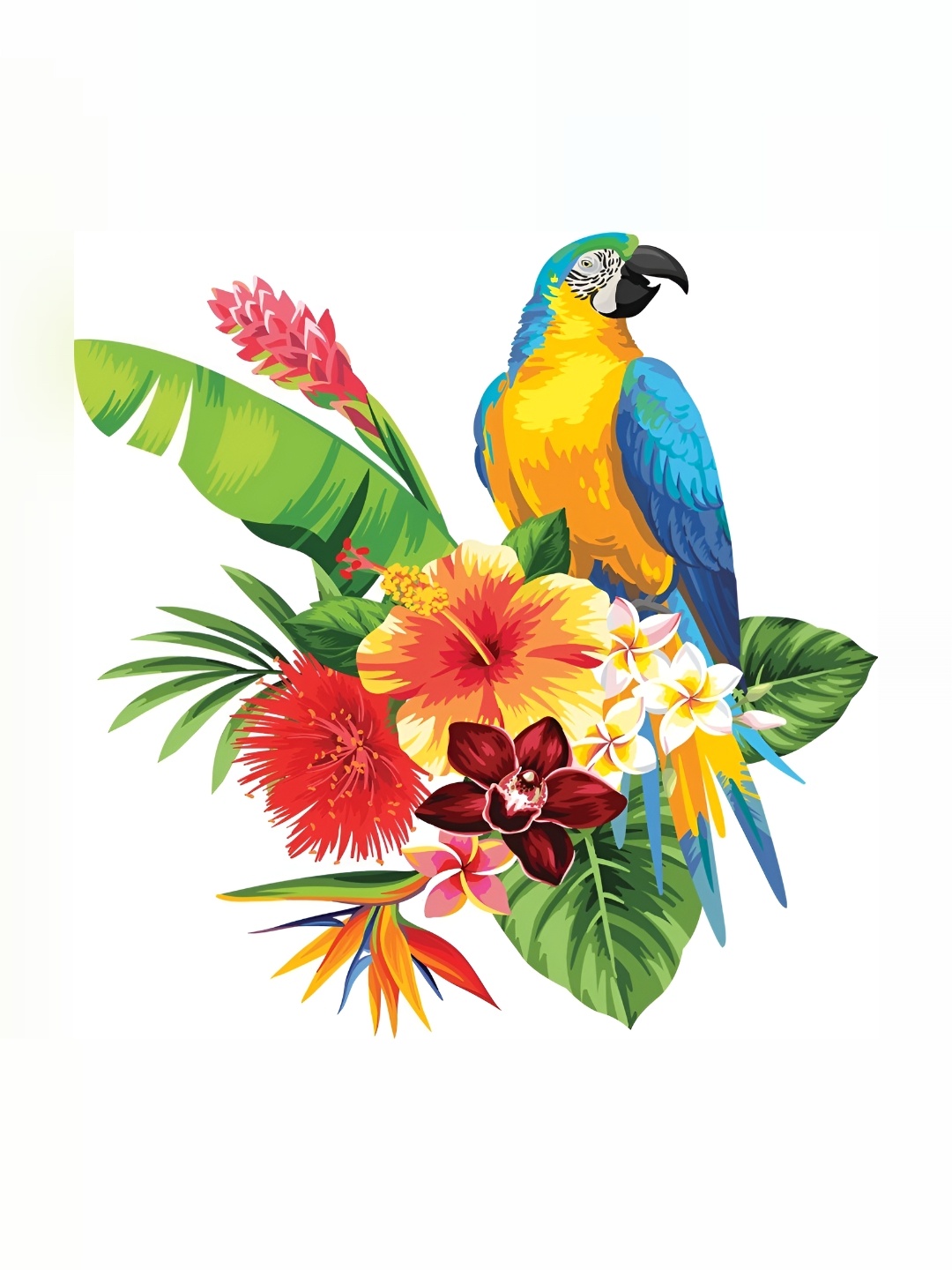 

Aquire Green & Yellow Colorfull Parrot Printed Wall Sticker