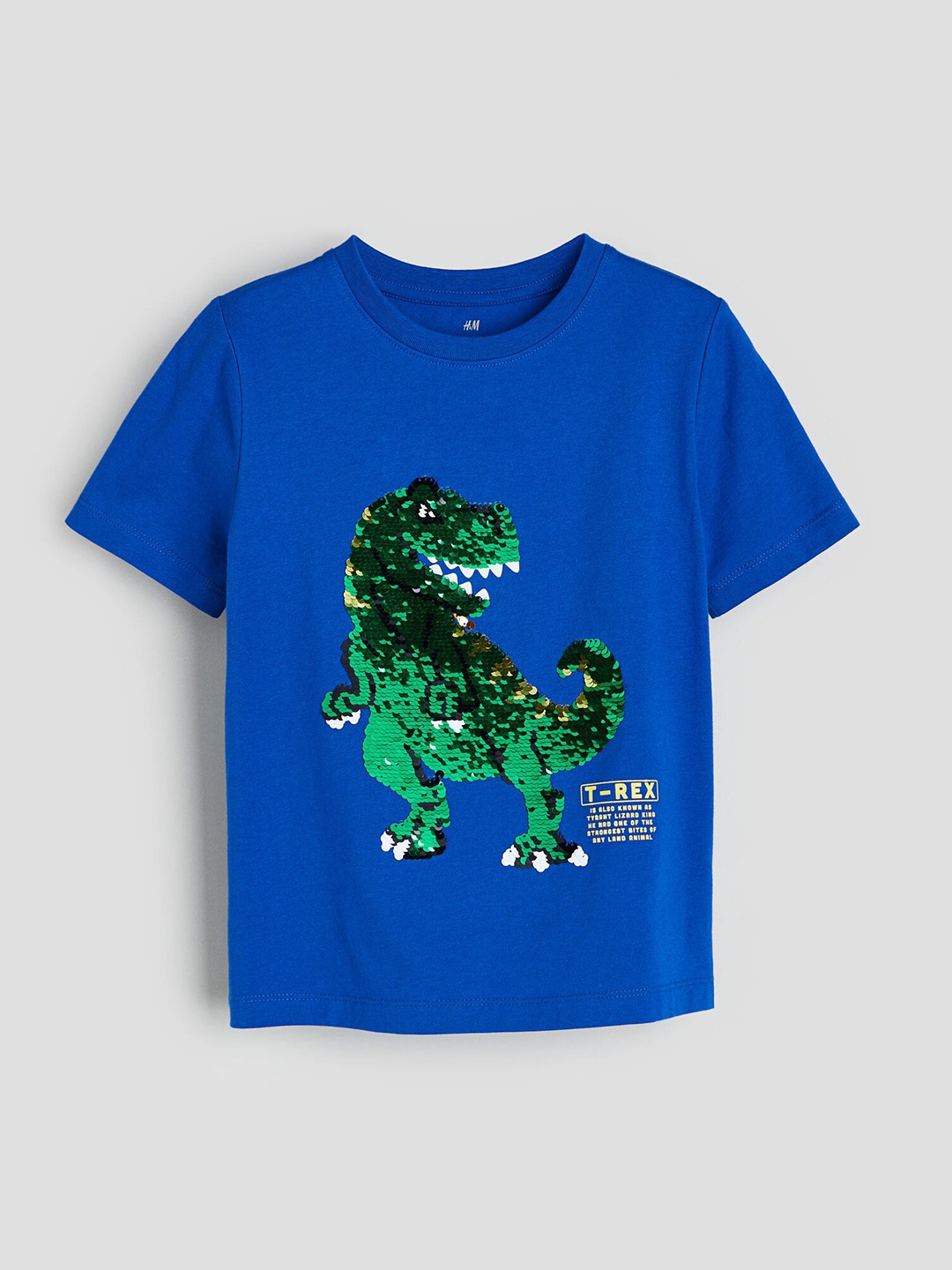 

H&M Boys Pure Cotton Reversible-Sequin T-Shirt, Blue