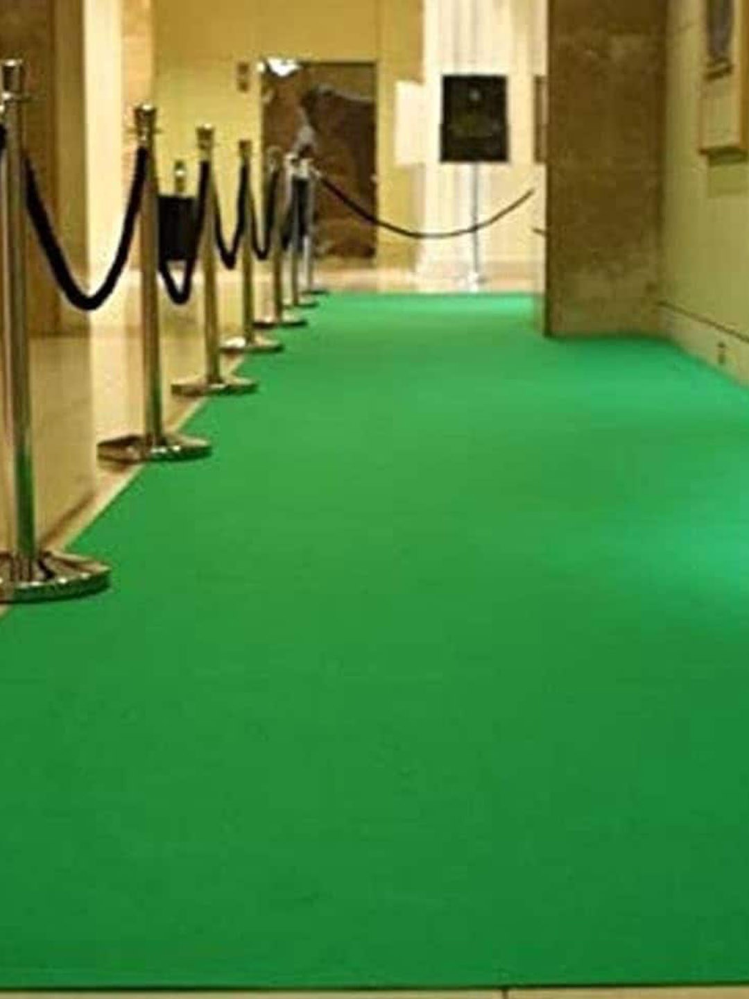 F & B RUGS Green Anti Skid Outdoor Carpet