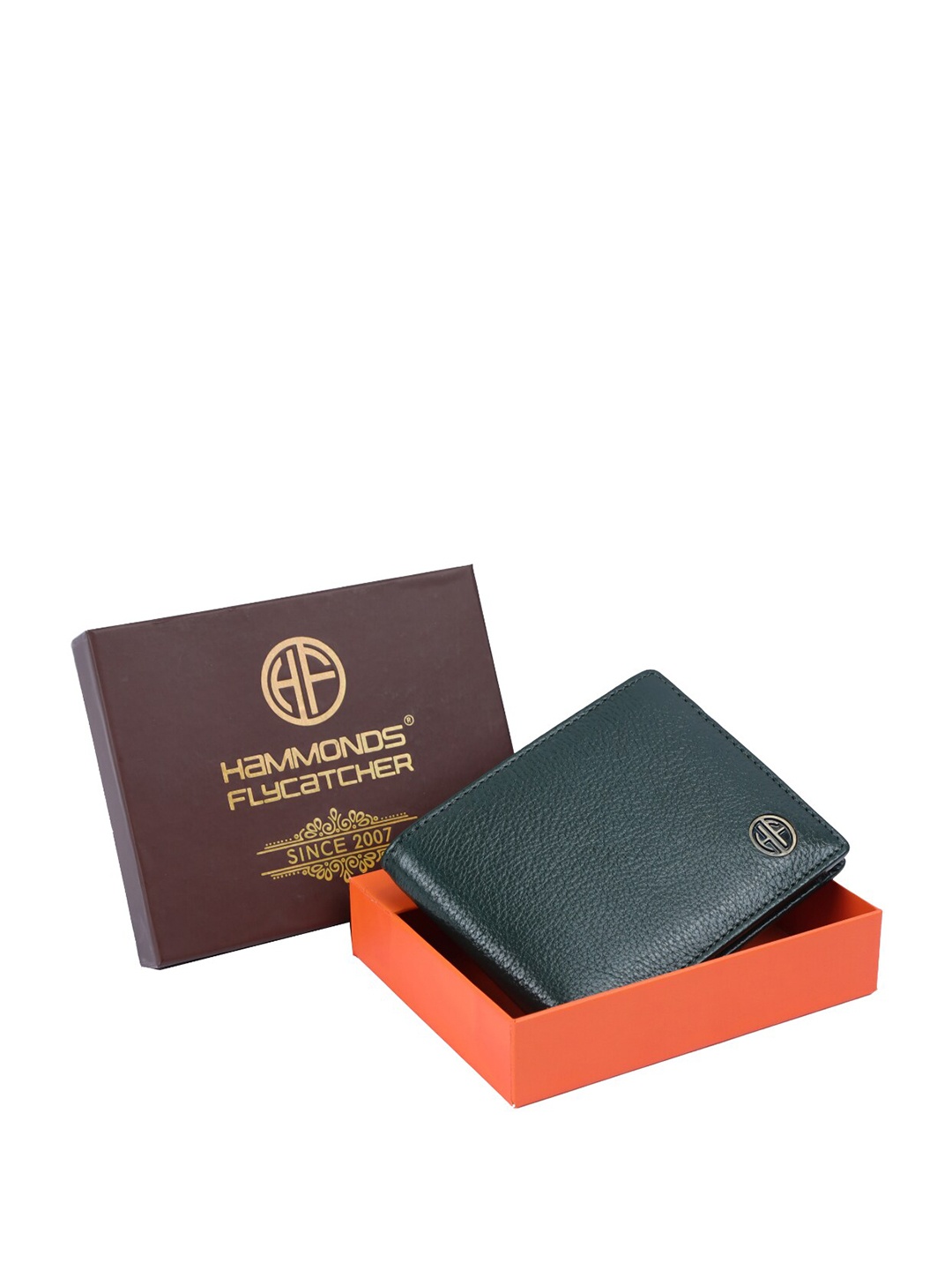 

HAMMONDS FLYCATCHER Men Textured Leather Two Fold Wallet, Green