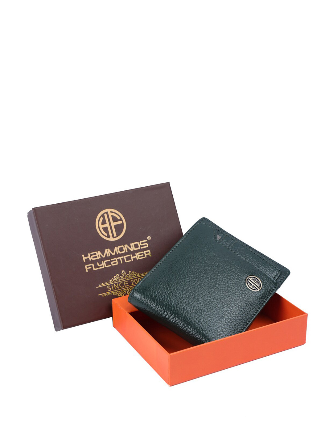 

HAMMONDS FLYCATCHER Men Textured Leather Two Fold Wallet, Green