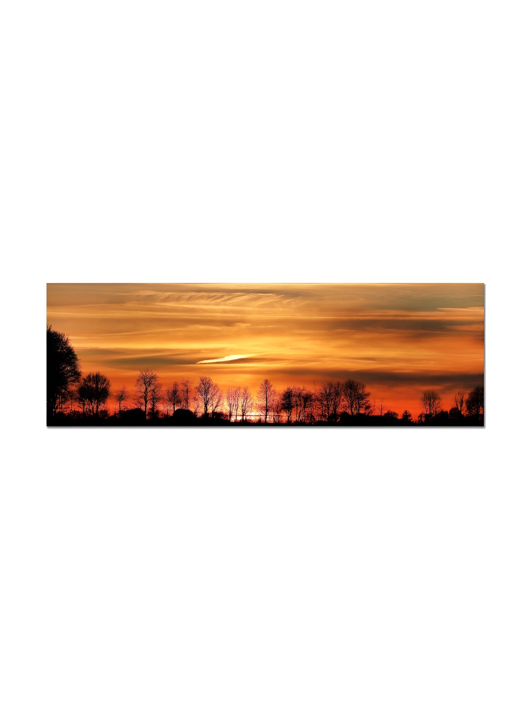 

Tamatina Orange & Black Canvas Wall Photograph Wall Art