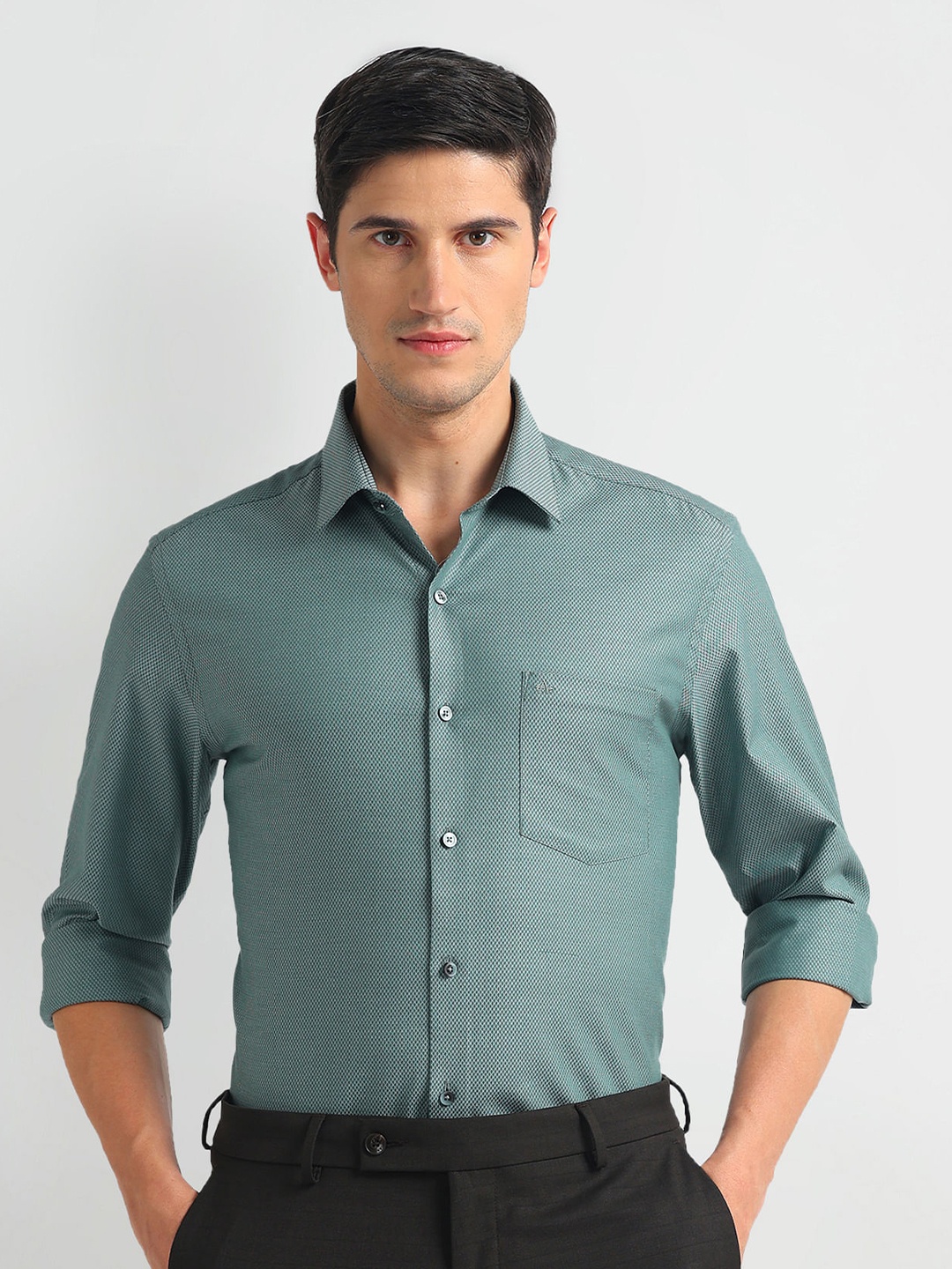 

Arrow Slim Fit Textured Pure Cotton Dobby Formal Shirt, Green