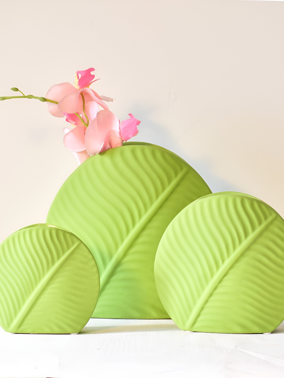 

Morcee Green 3 Pieces Ceramic Mint Leaf Vase