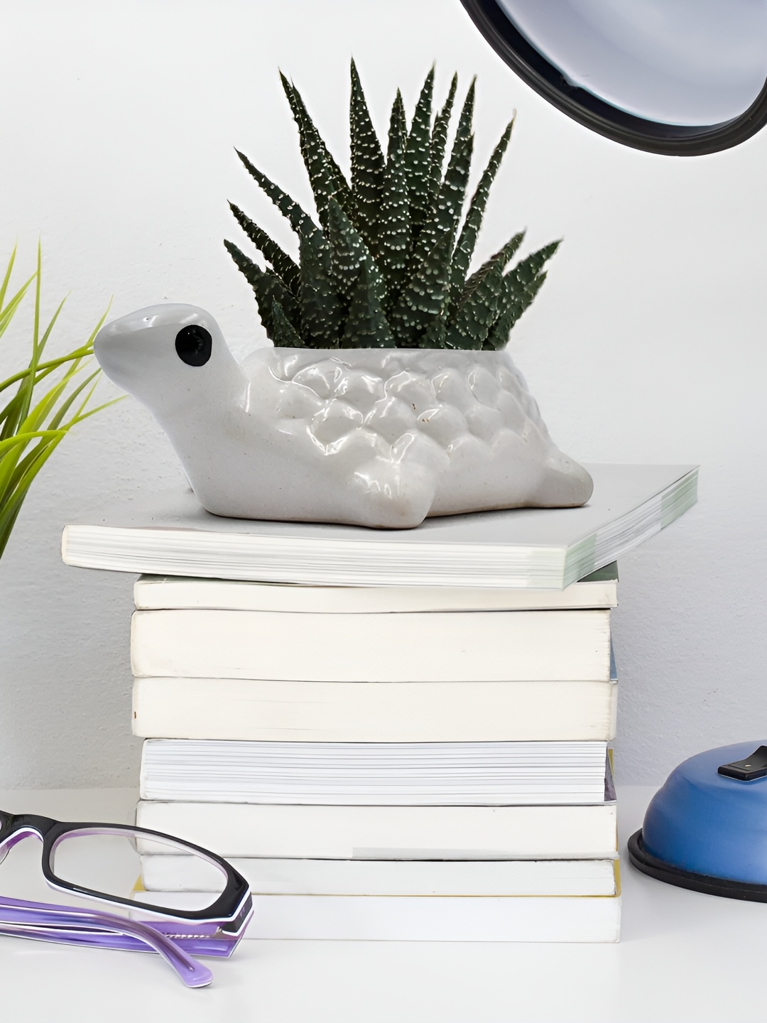 

Crazy Sutra White 2 Pieces Ceramic Planters