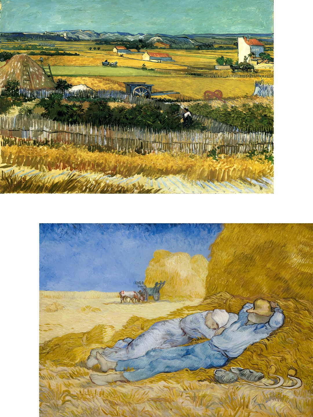 

Adventures India White & Blue 2 Piece Wood Other Wall Paintings