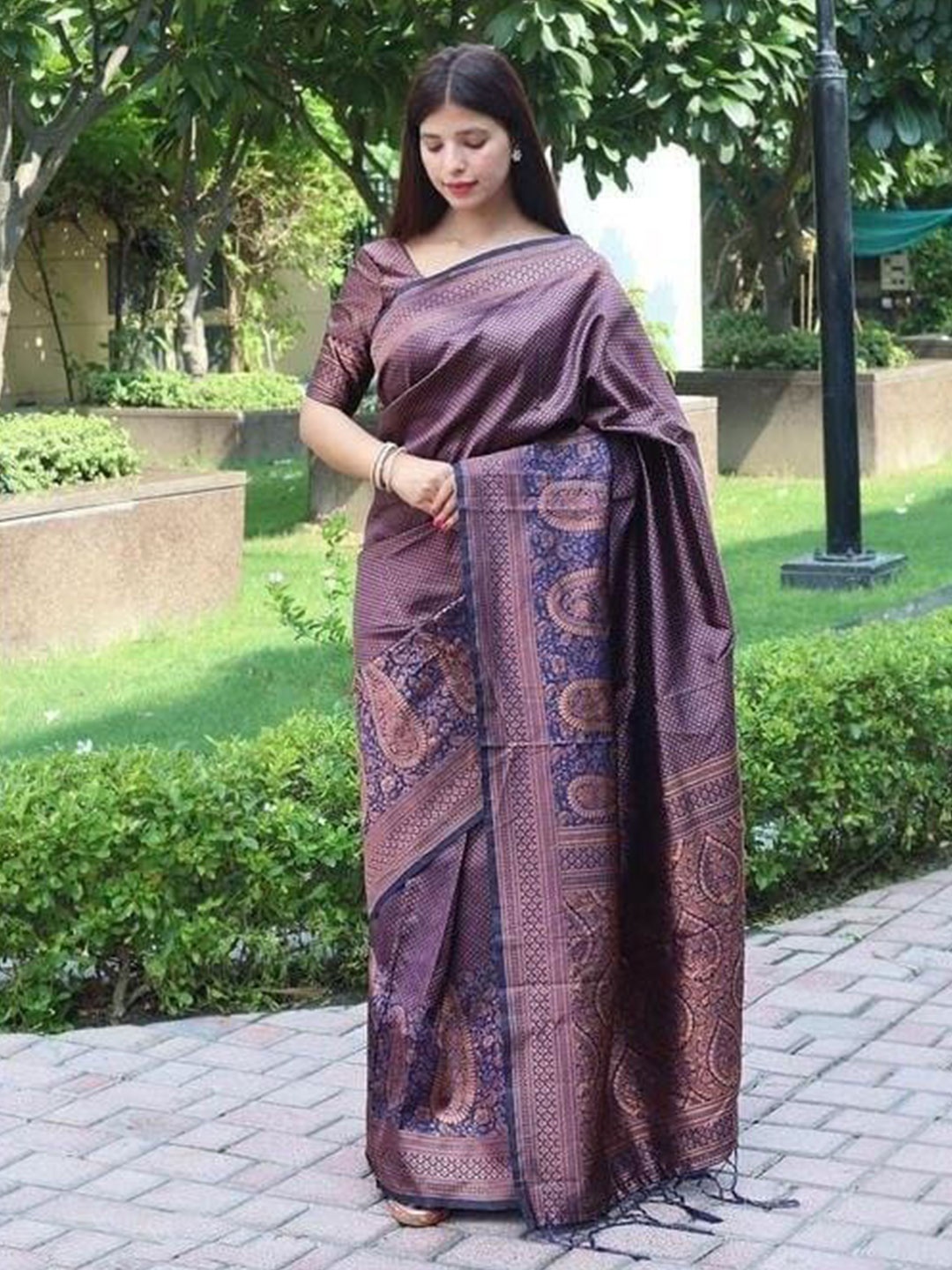 

Naishu Trendz Ethnic Motifs Woven Design Zari Pure Silk Kanjeevaram Saree, Blue