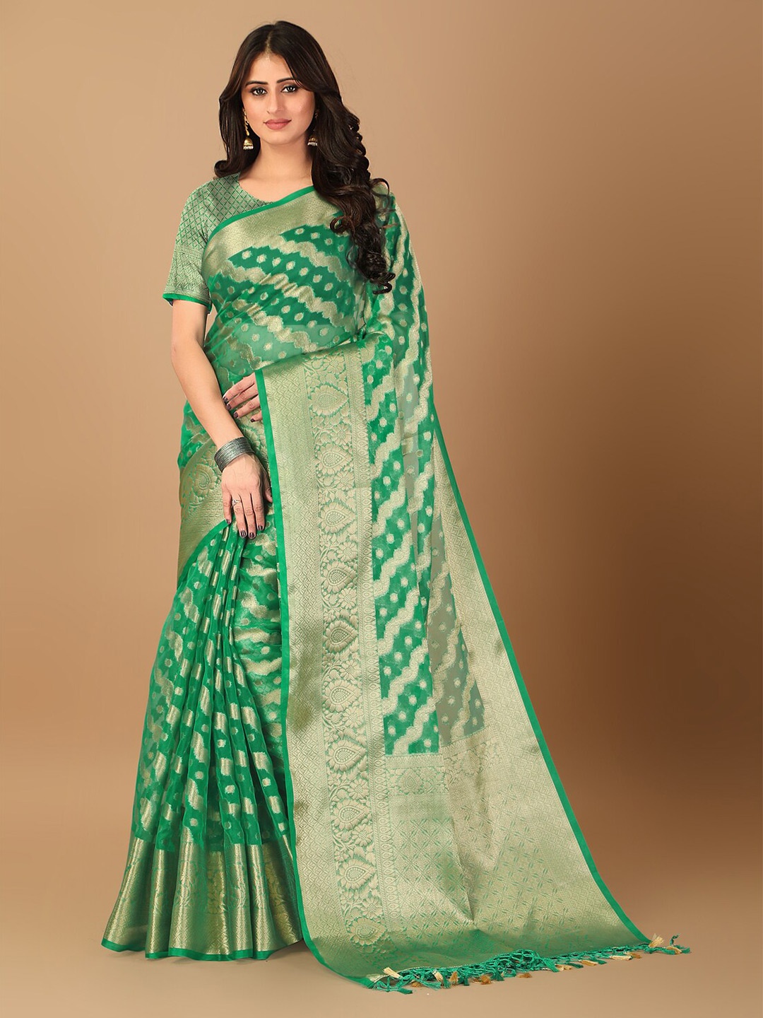 

ANISSA SAREE Ethnic Motifs Woven Design Zari Detailed Organza Banarasi Saree, Green
