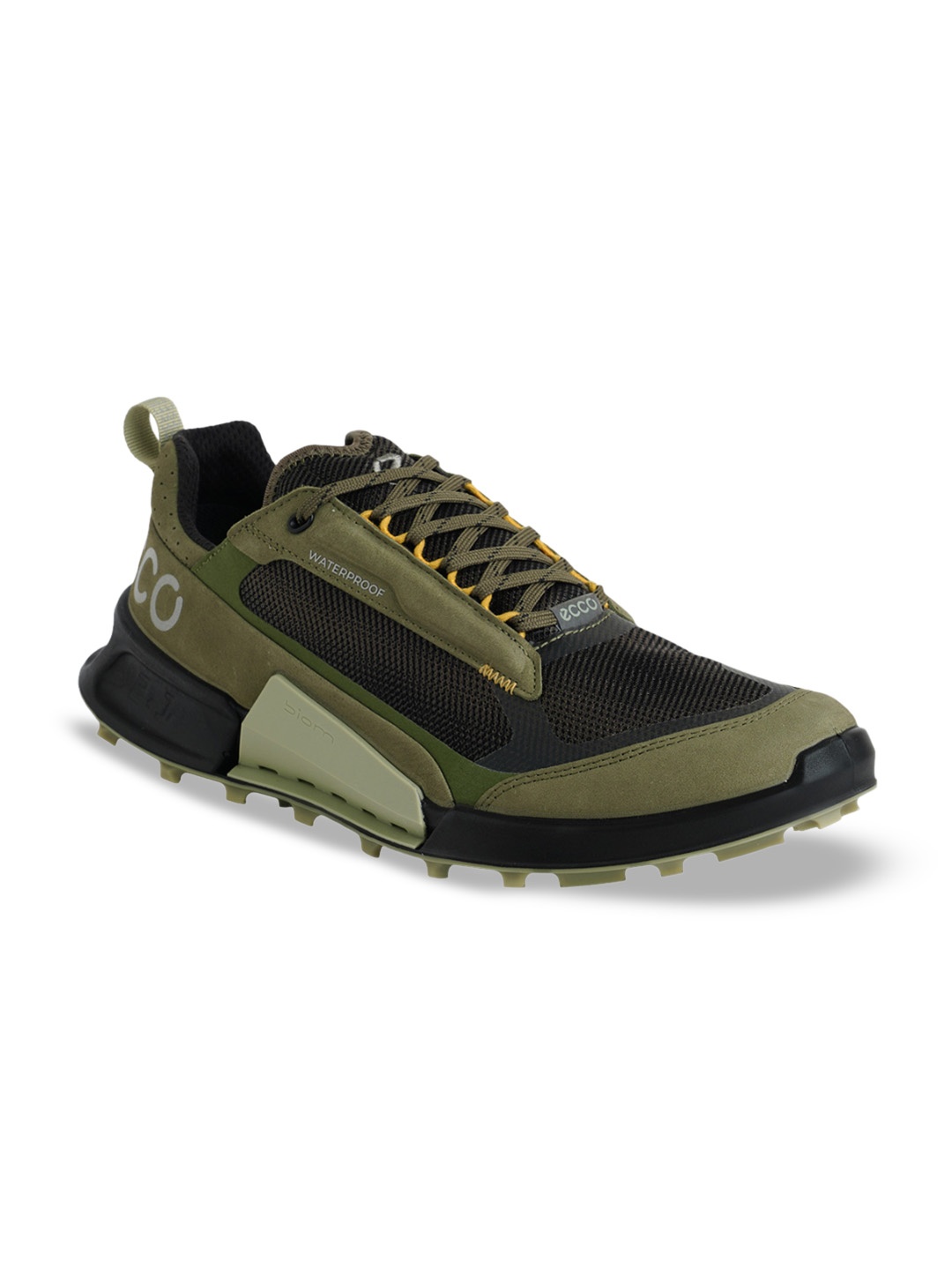 

ECCO Mens Biom Grape Leaf Leather Regular Outdoor Shoes, Green