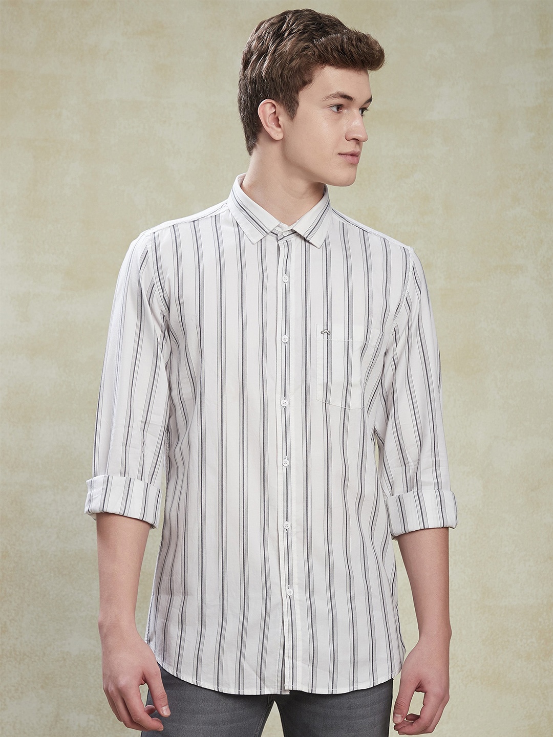 

Turtle Relaxed Slim Fit Vertical Striped Spread Collar Pure Cotton Casual Shirt, Off white