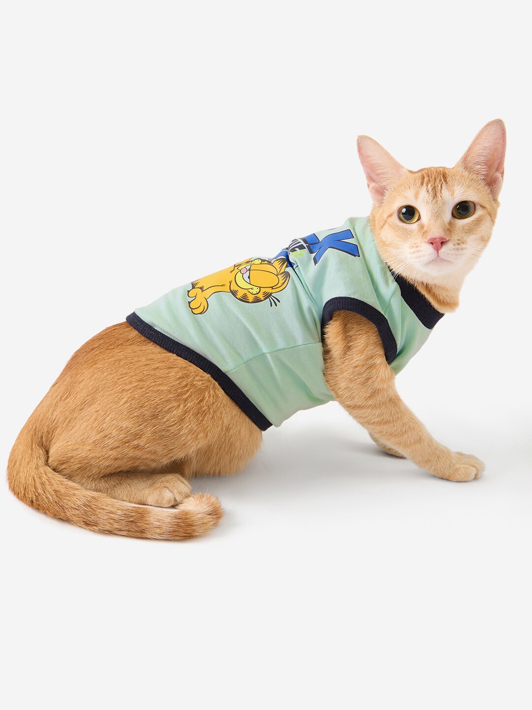 

The Souled Store Garfield Talk To The Paw Printed Pure Cotton Cat Tshirts, Blue