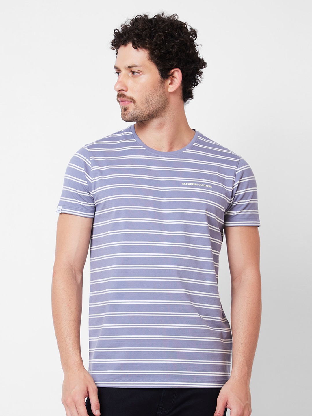 

SPYKAR Striped Cotton Slim Fit T-shirt, Grey