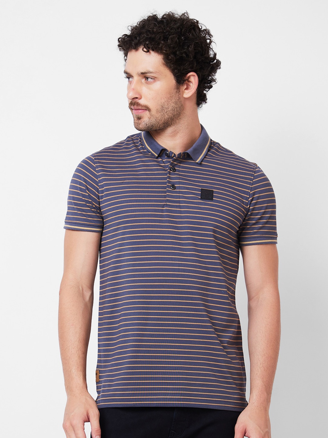 

SPYKAR Striped Polo Collar Cotton Slim Fit T-shirt, Grey