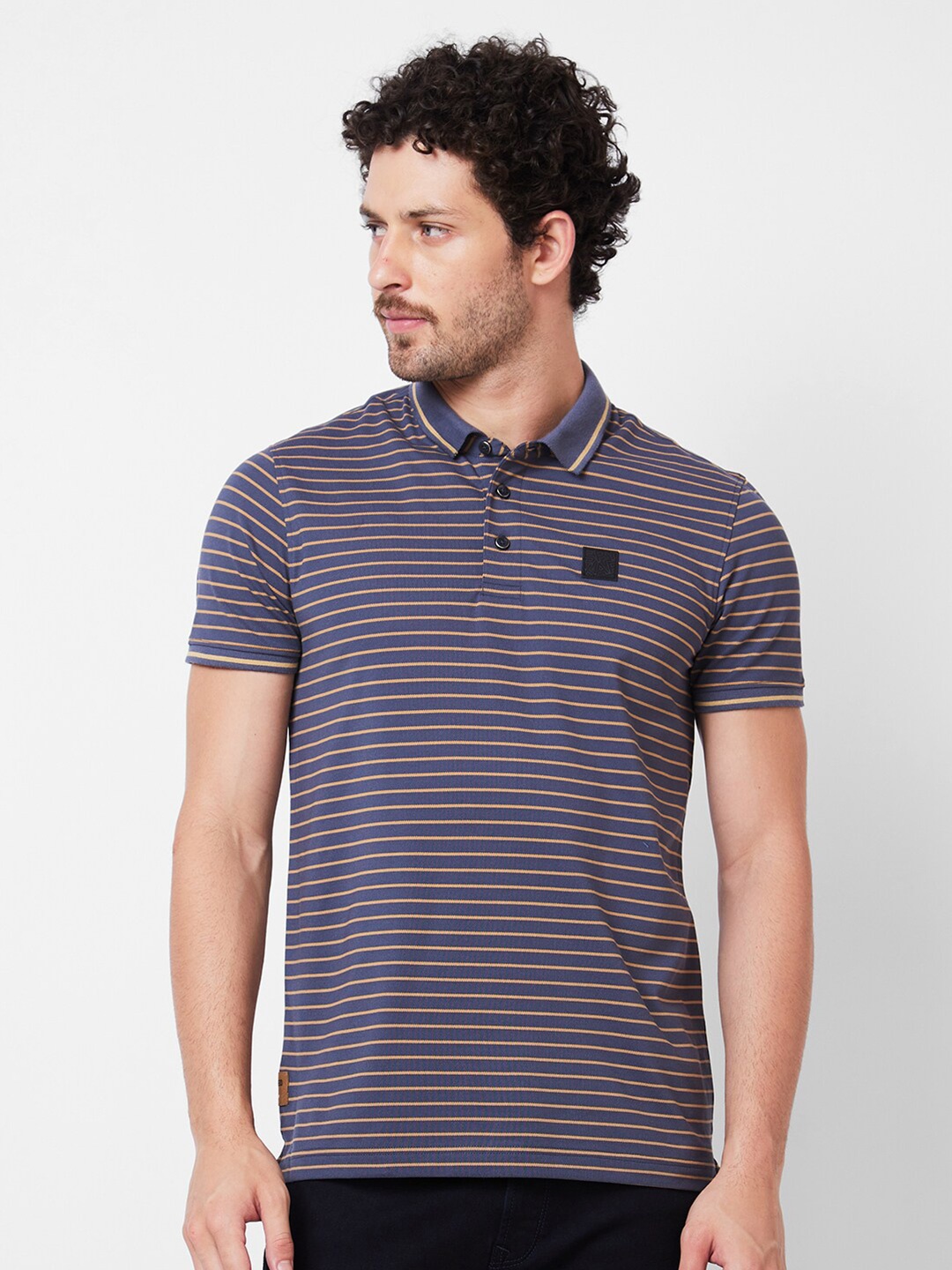 

SPYKAR Striped Polo Collar Cotton Slim Fit T-shirt, Grey