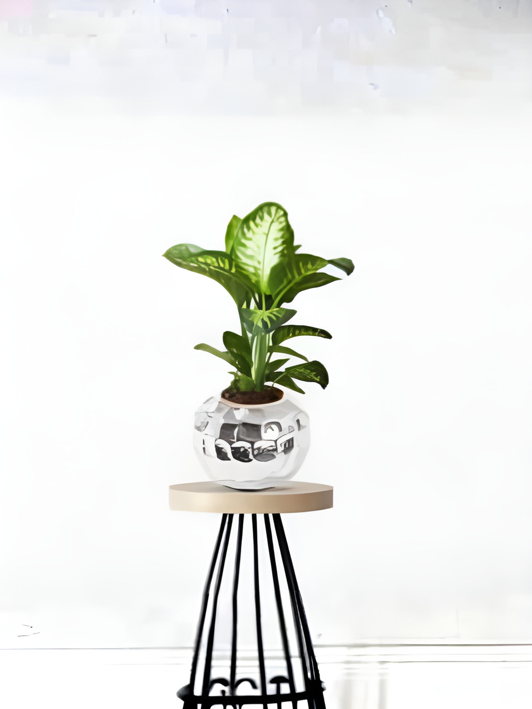 

USHA SHRIRAM Stainless Steel Round Shaped Planter