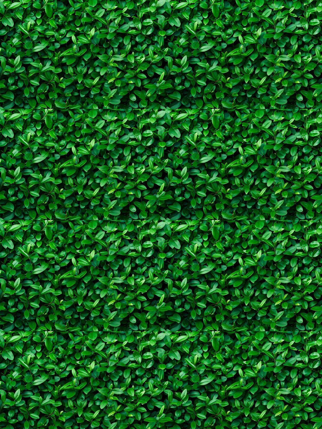 

DWELLSINDIA Green Printed Self Adhesive Waterproof Wallpaper