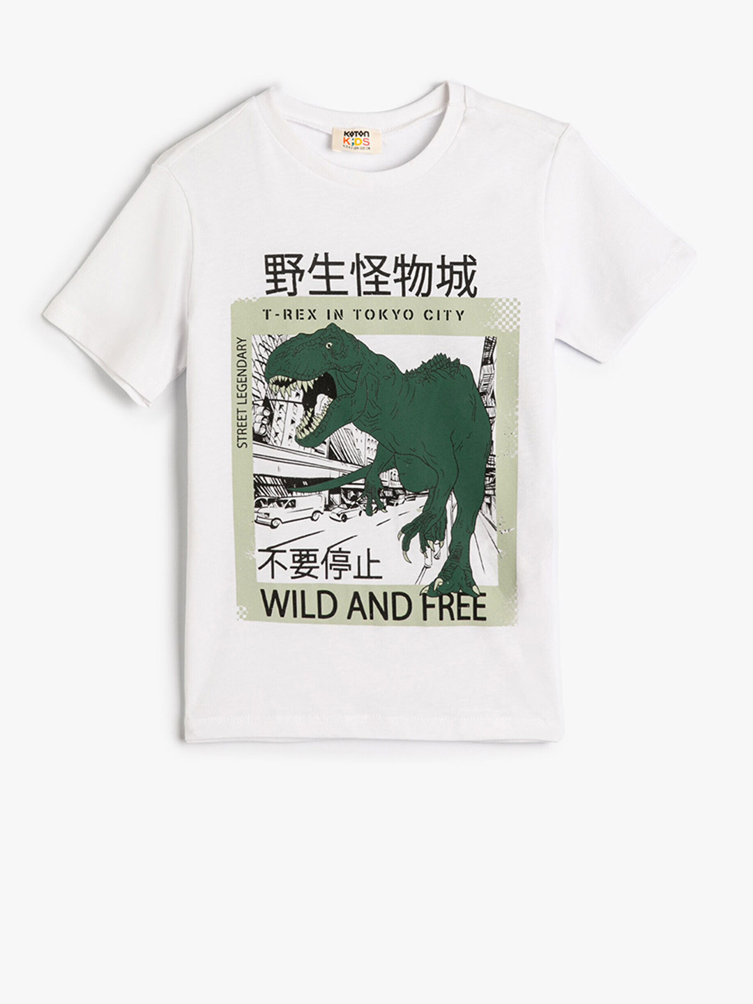 

Koton Boys Graphic Printed Pure Cotton T-shirt, White