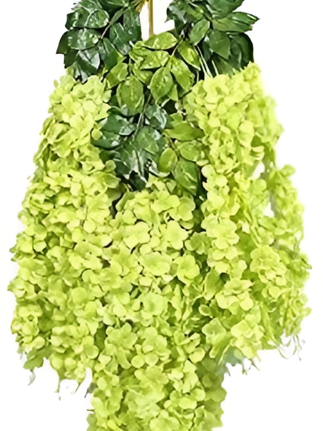 

WELL ART GALLERY Green 4 Pieces Hanging Blossom Artificial Flowers