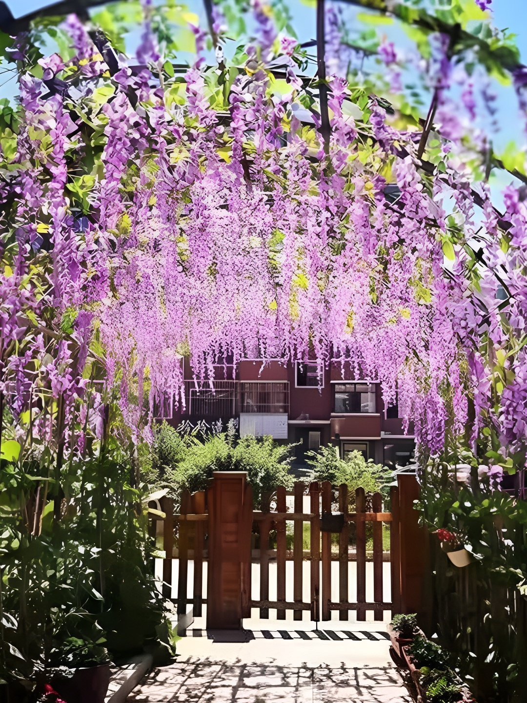 

WELL ART GALLERY Purple 10 Pieces Hanging Blossom Artificial Flowers