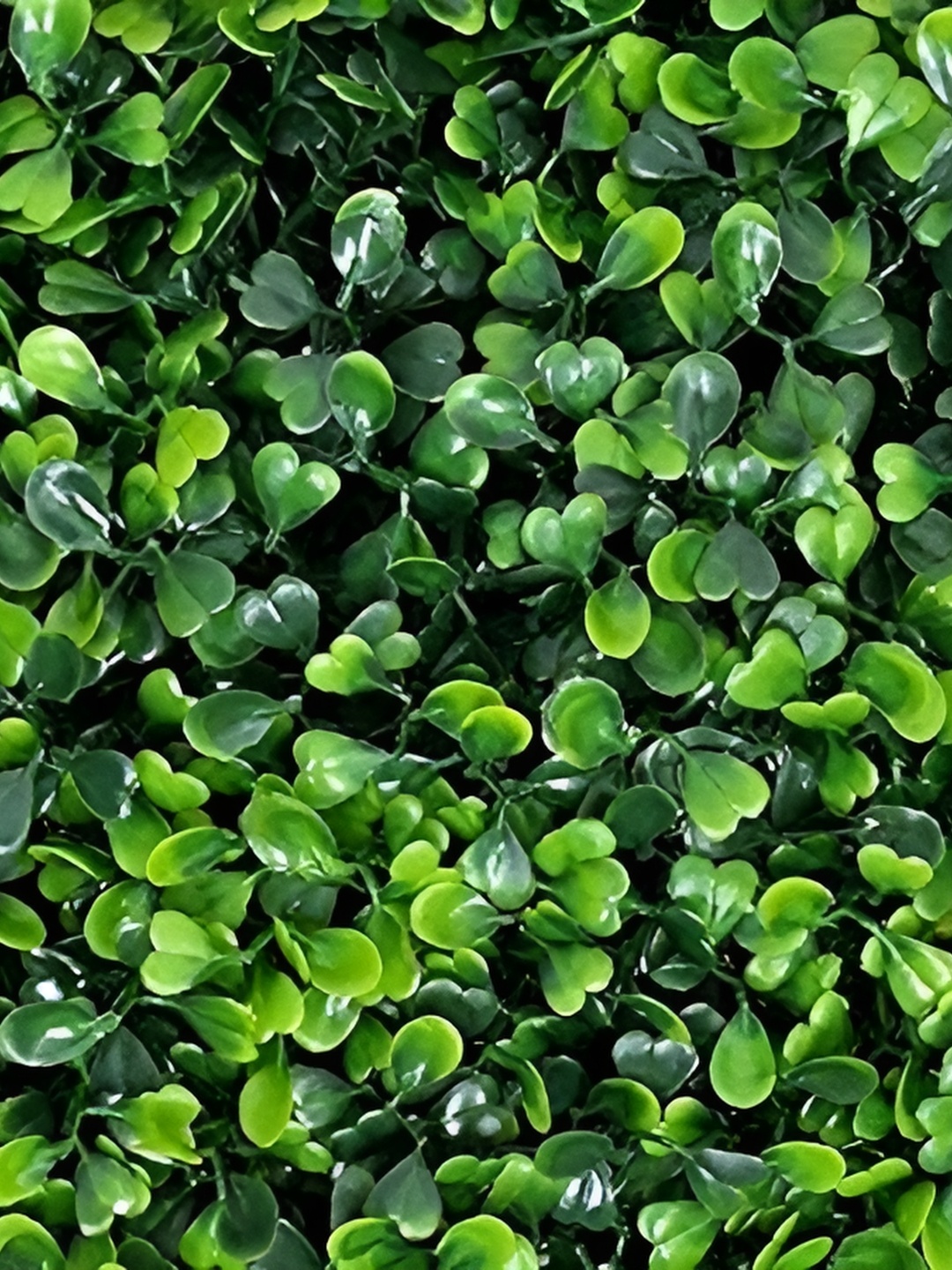 

WELL ART GALLERY Green Grass Artificial Plant