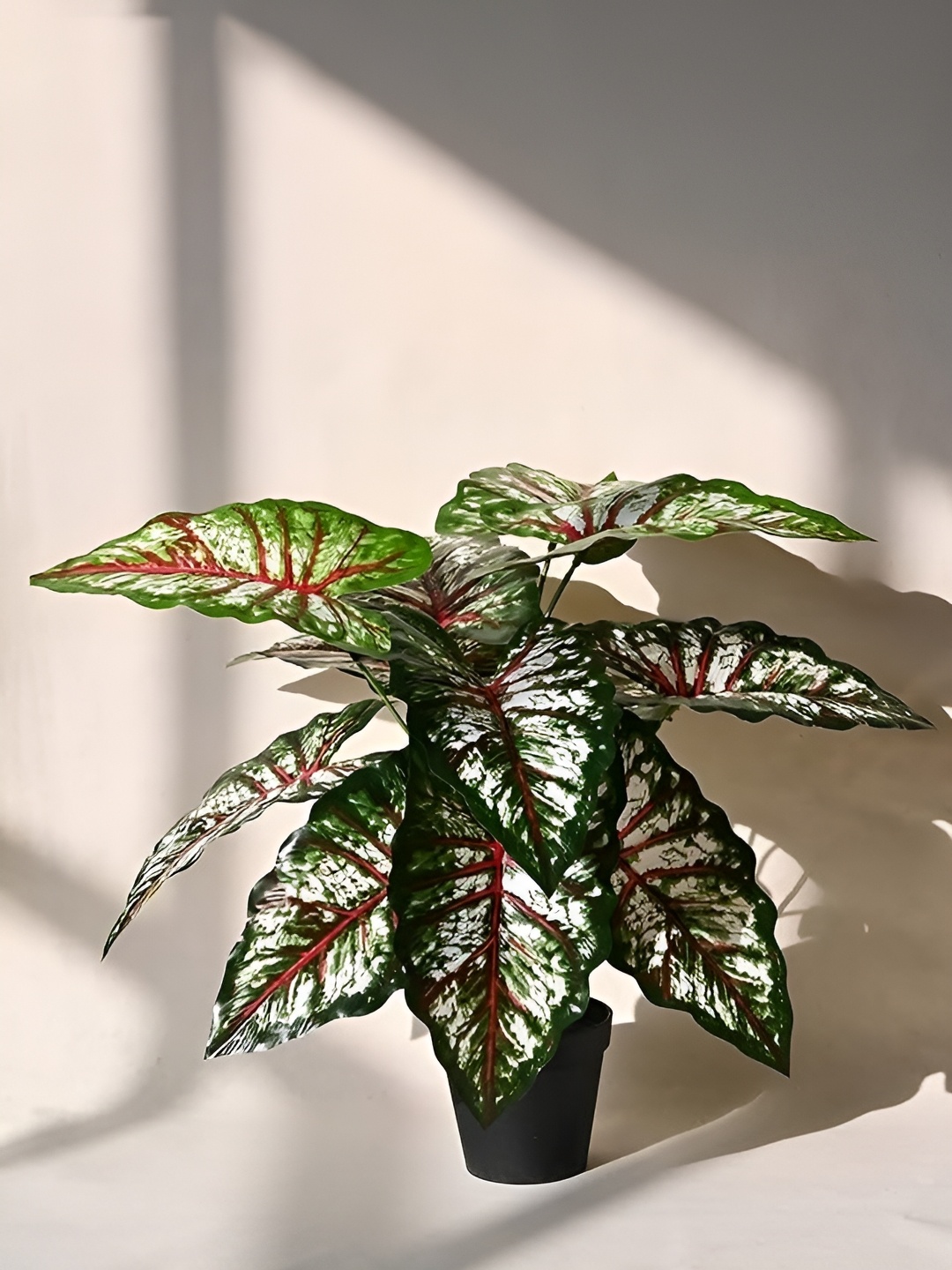

WELL ART GALLERY Green & Red Money Plant Artificial Plant