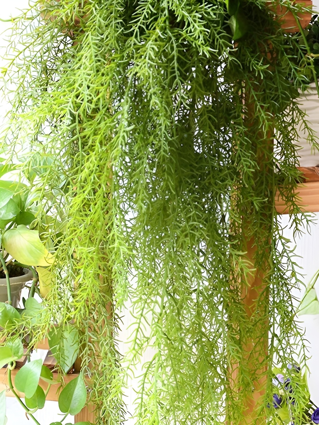 

WELL ART GALLERY Green Non-Hanging Artificial Plant