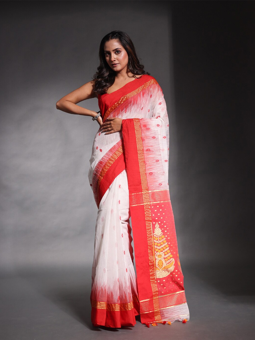 

Charukriti Ethnic Motifs Zari Ikat Saree, White