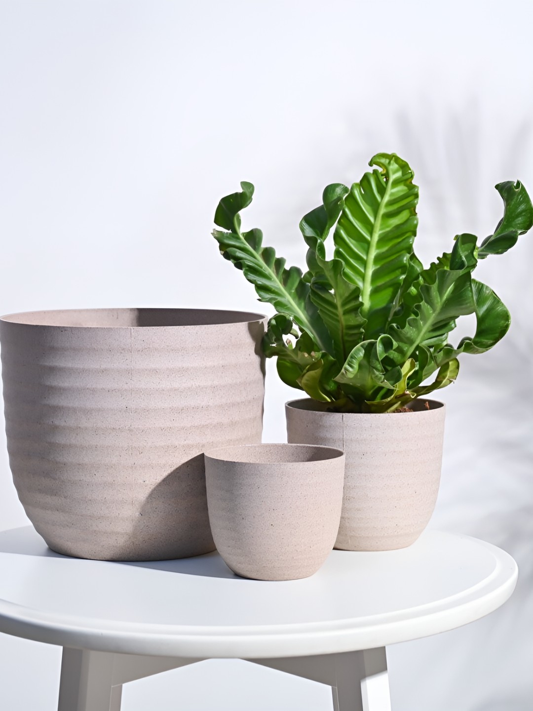 

UGAOO 3 Pieces White Verona Eco-Friendly Indoor Pot