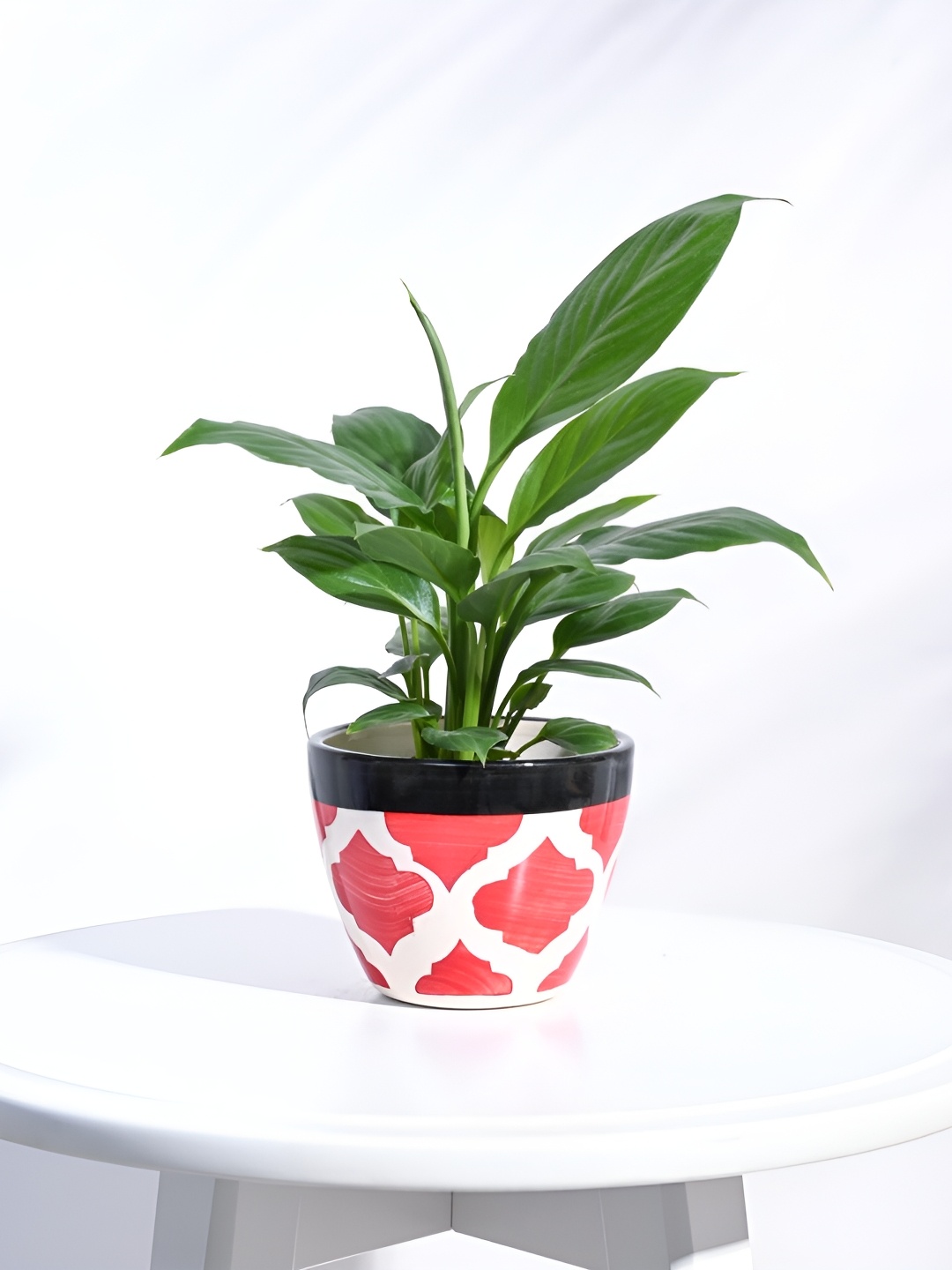 

UGAOO Red Printed Ceramic Pot