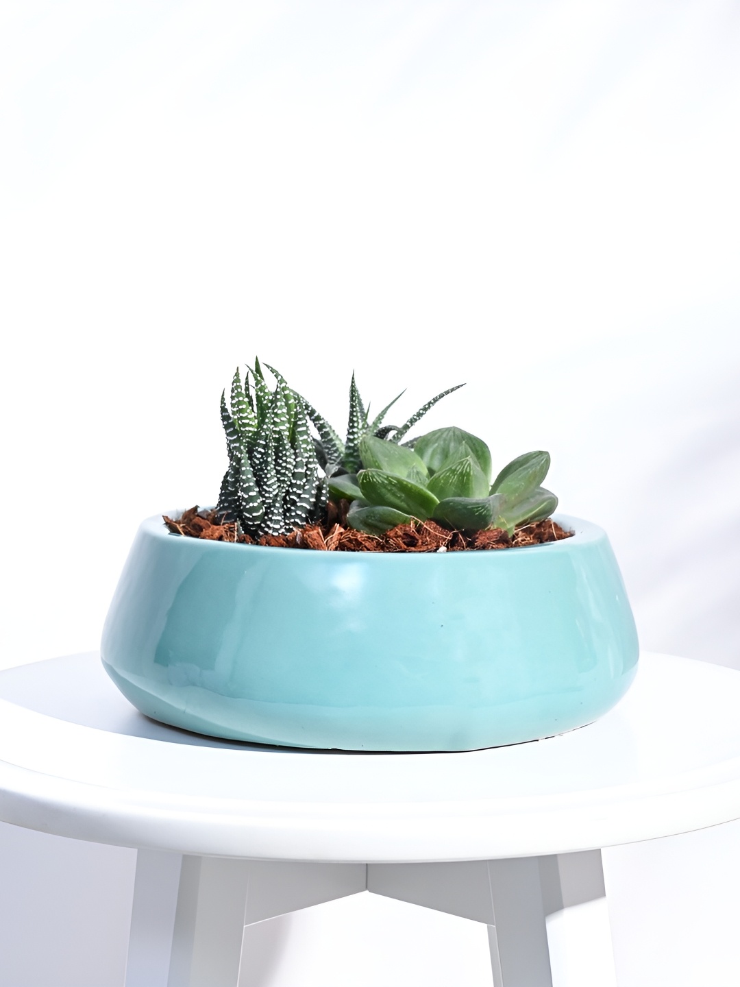

UGAOO Aqua Green Tulip Fantasy Ceramic Pot