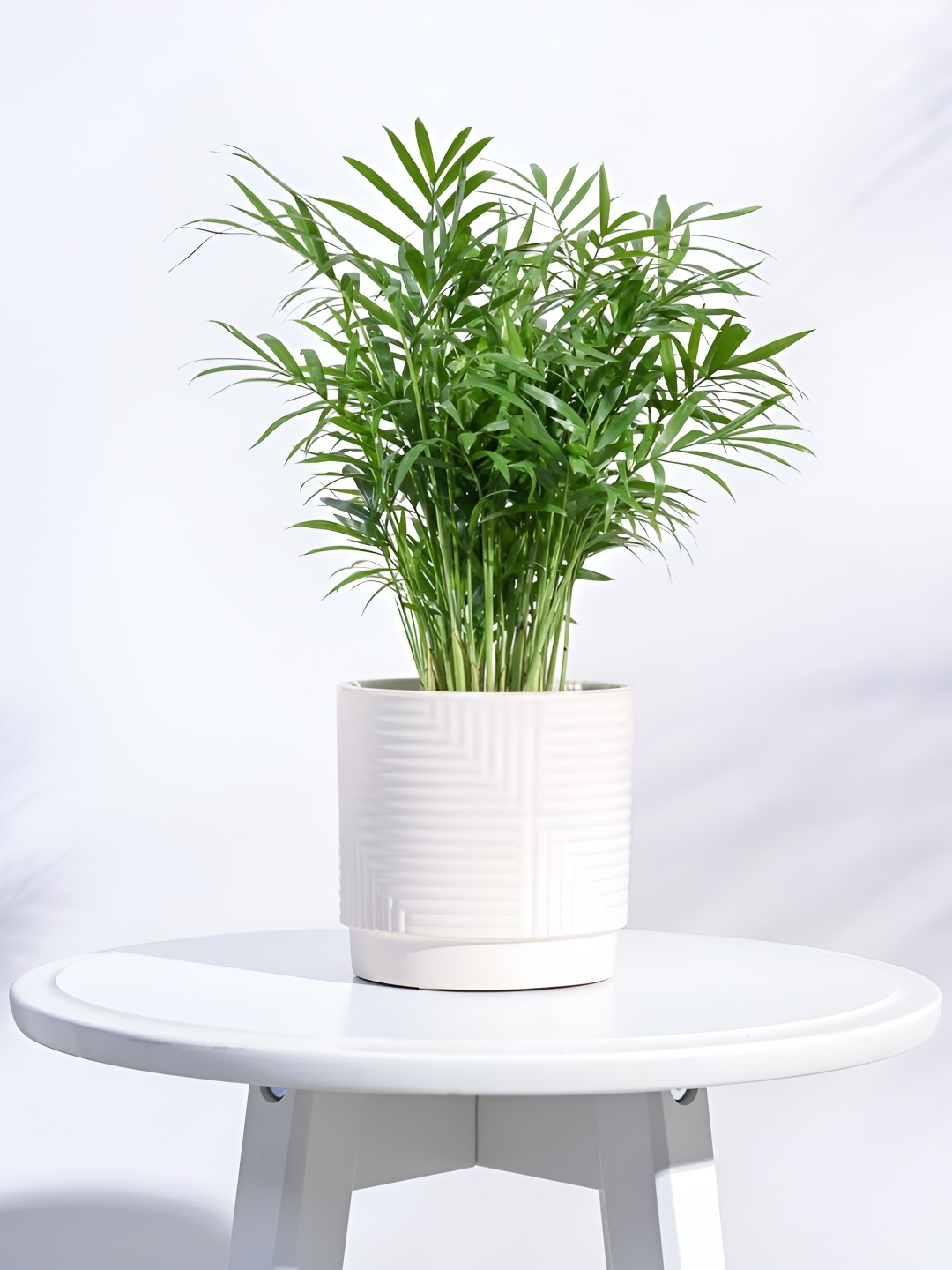

UGAOO White Textured Ceramic Pot