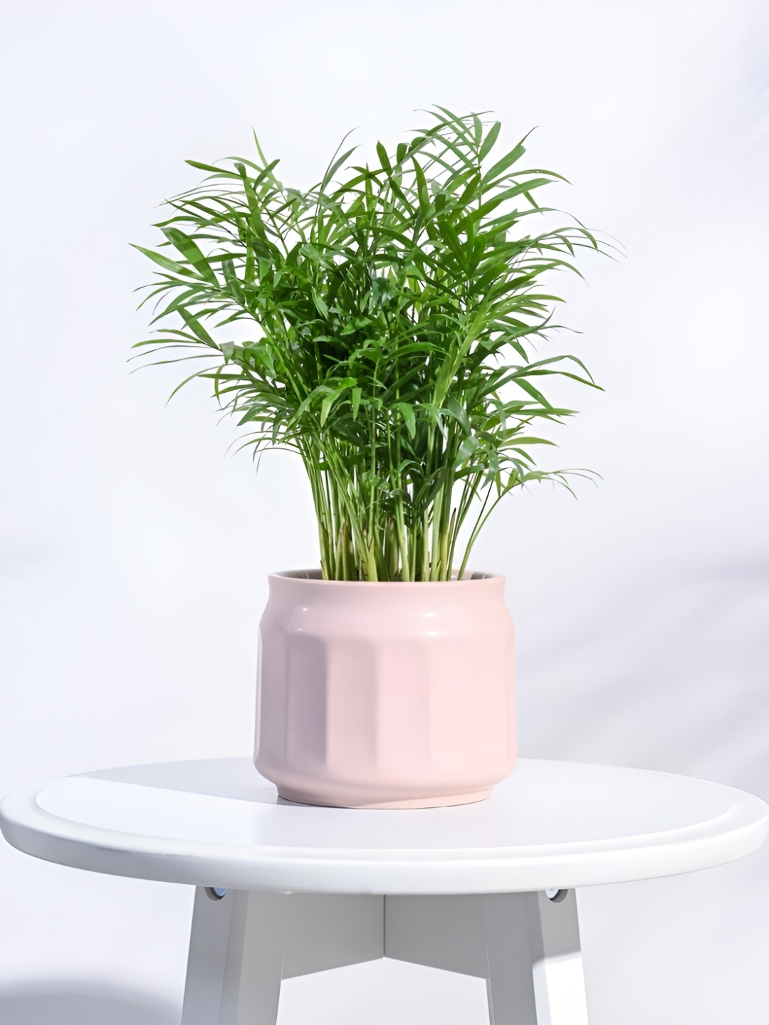 

UGAOO Rose Textured Ceramic Pot