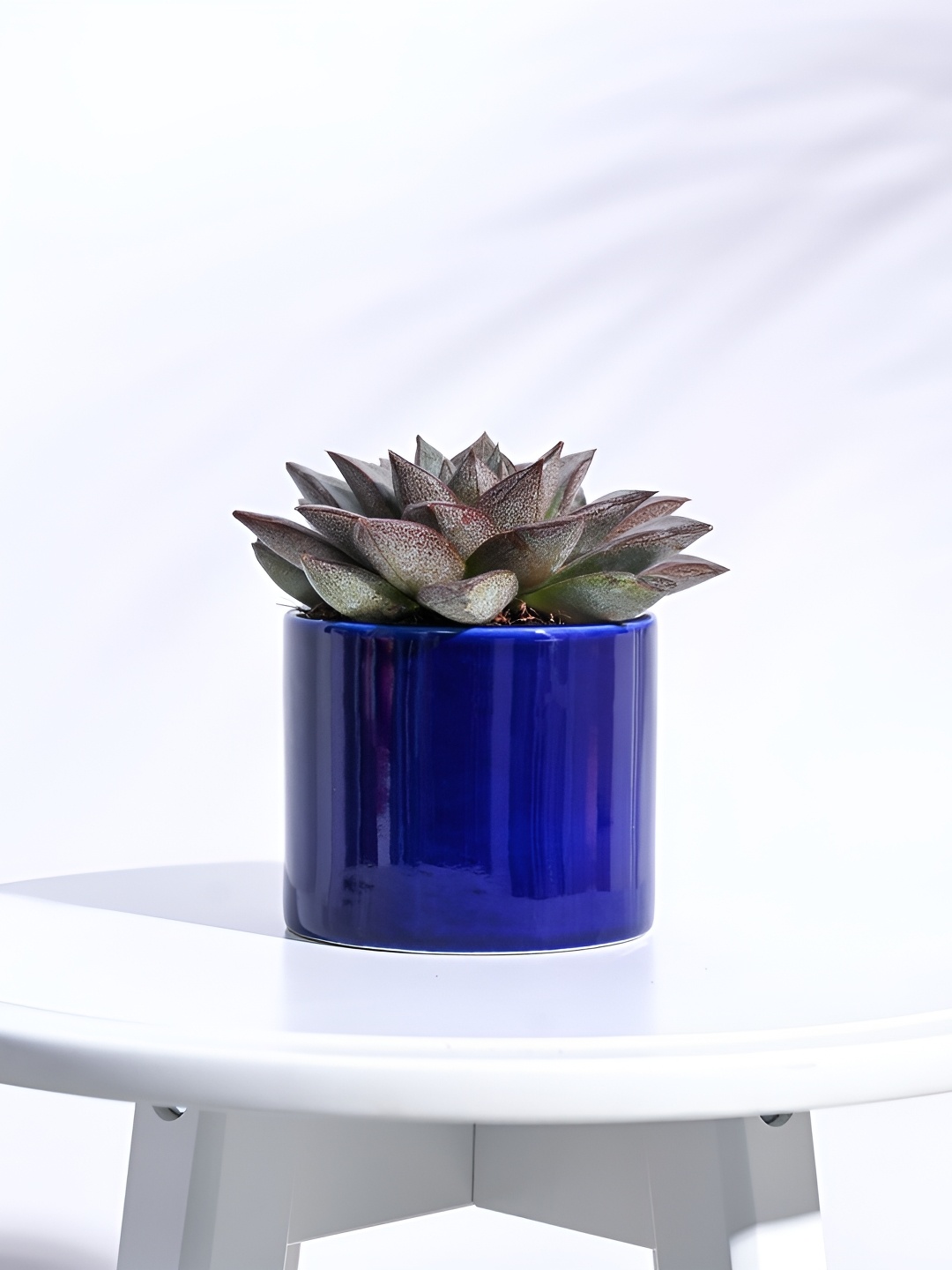 

UGAOO Blue Pipe Ceramic Pot