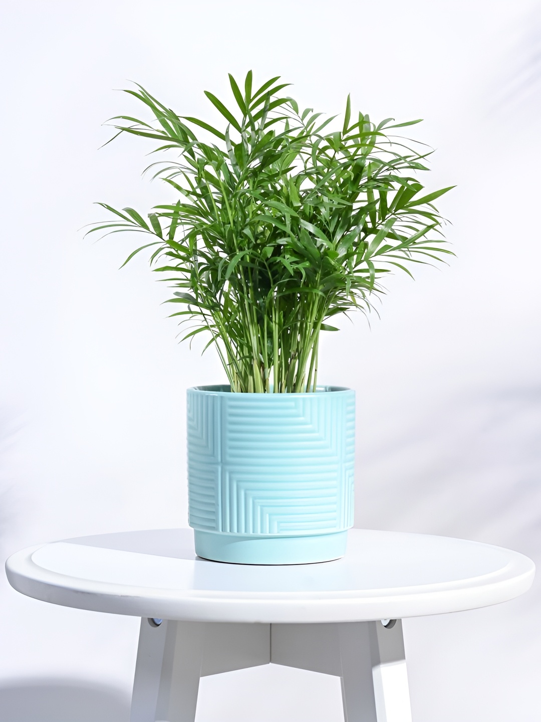 

UGAOO Green Textured Ceramic Pot