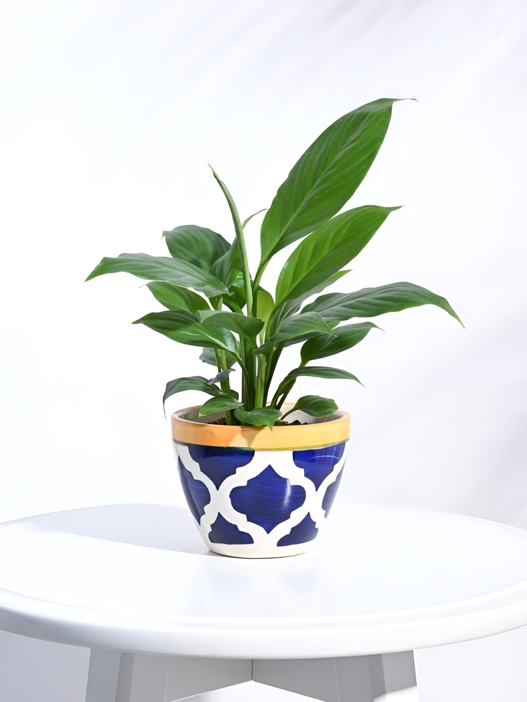 

UGAOO Blue & White Geometric Printed Ceramic Planter