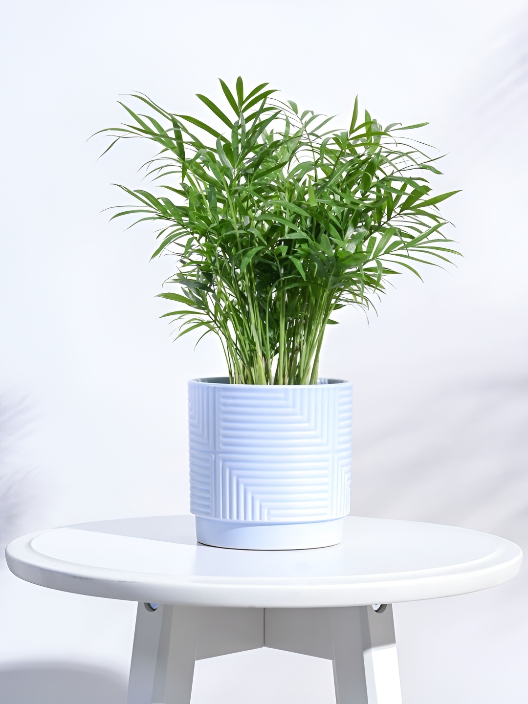 

UGAOO Maze Powder Blue Textured Ceramic Planter