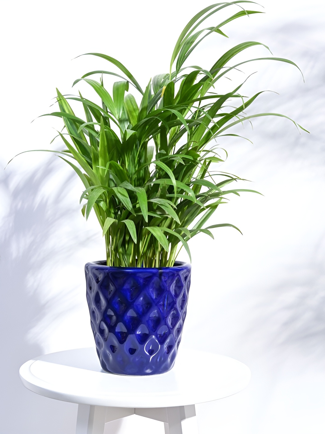 

UGAOO Argyle Blue Textured Ceramic Planter
