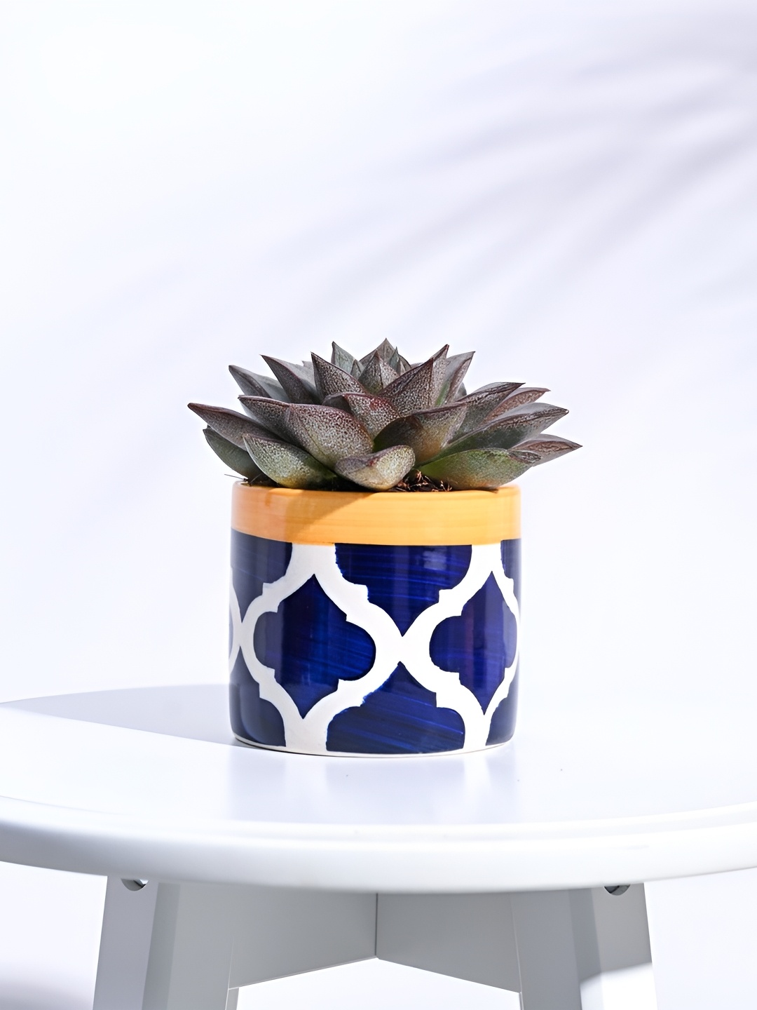 

UGAOO Blue & White Round Ceramic Planter